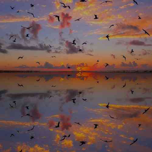 دیجی فرزین کوردی کلاب 2